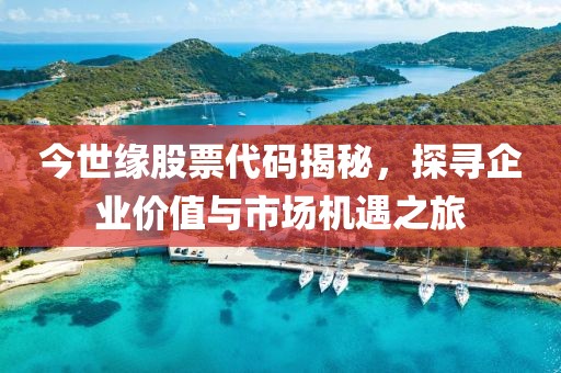 今世缘股票代码揭秘，探寻企业价值与市场机遇之旅