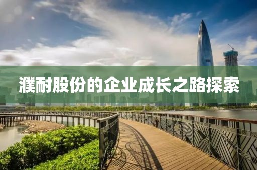 濮耐股份的企業(yè)成長(zhǎng)之路探索