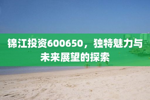 錦江投資600650，獨(dú)特魅力與未來展望的探索