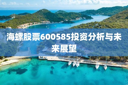 海螺股票600585投資分析與未來展望