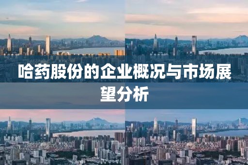 哈藥股份的企業(yè)概況與市場(chǎng)展望分析