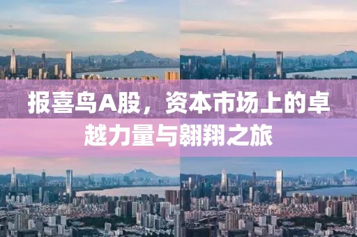 報(bào)喜鳥A股，資本市場上的卓越力量與翱翔之旅