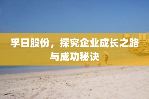 孚日股份，探究企業(yè)成長之路與成功秘訣