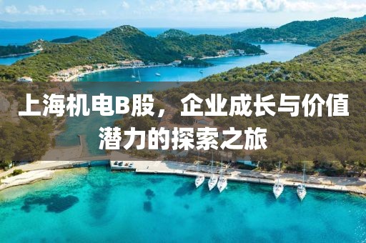 上海機電B股，企業(yè)成長與價值潛力的探索之旅