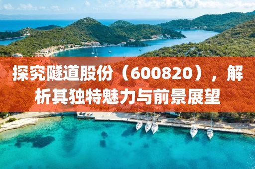 探究隧道股份（600820），解析其獨(dú)特魅力與前景展望