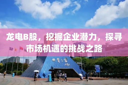 龍電B股，挖掘企業潛力，探尋市場機遇的挑戰之路