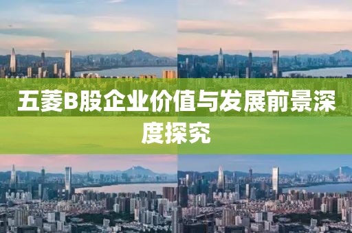 五菱B股企業(yè)價值與發(fā)展前景深度探究