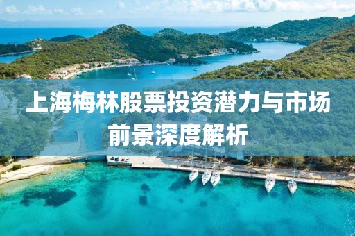 上海梅林股票投資潛力與市場前景深度解析