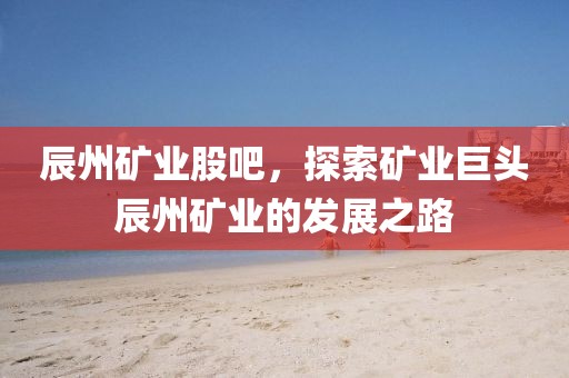 辰州礦業(yè)股吧，探索礦業(yè)巨頭辰州礦業(yè)的發(fā)展之路