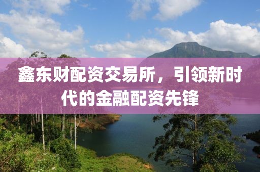 鑫東財(cái)配資交易所，引領(lǐng)新時(shí)代的金融配資先鋒