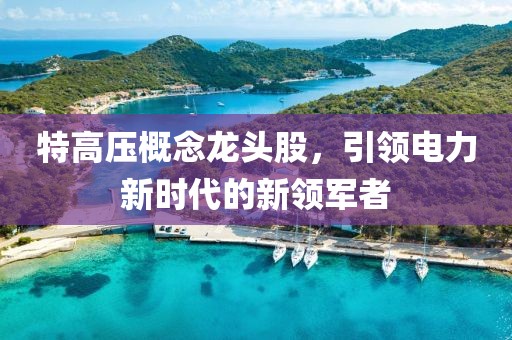 特高壓概念龍頭股，引領電力新時代的新領軍者