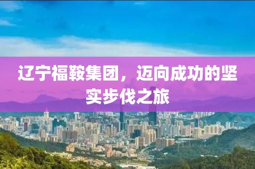 辽宁福鞍集团，迈向成功的坚实步伐之旅