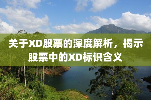 关于XD股票的深度解析，揭示股票中的XD标识含义