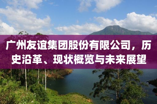 廣州友誼集團股份有限公司，歷史沿革、現(xiàn)狀概覽與未來展望