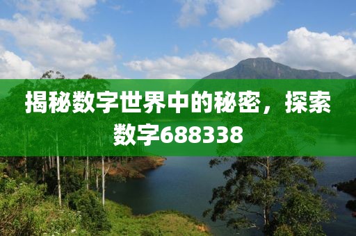 揭秘數(shù)字世界中的秘密，探索數(shù)字688338