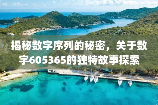 揭秘数字序列的秘密，关于数字605365的独特故事探索