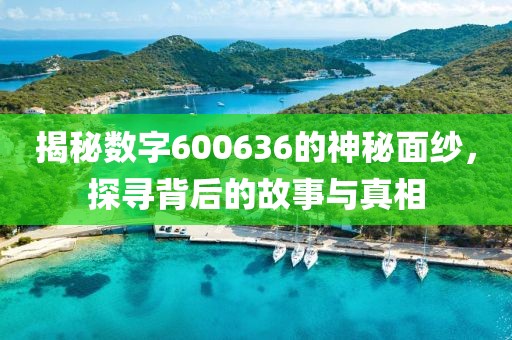 揭秘數字600636的神秘面紗，探尋背后的故事與真相