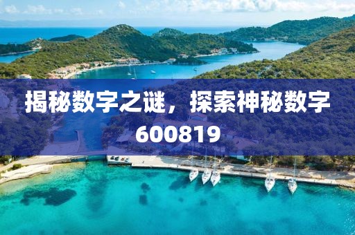 揭秘數字之謎，探索神秘數字600819