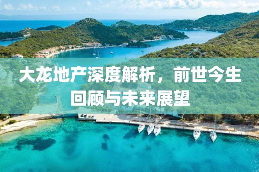 大龍地產深度解析，前世今生回顧與未來展望