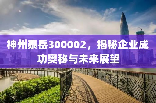 神州泰岳300002，揭秘企業成功奧秘與未來展望