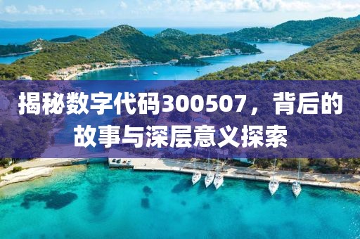 揭秘數(shù)字代碼300507，背后的故事與深層意義探索