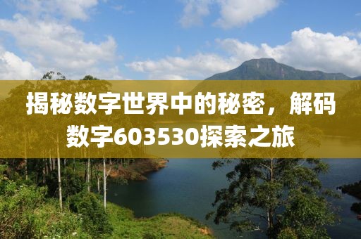 揭秘?cái)?shù)字世界中的秘密，解碼數(shù)字603530探索之旅