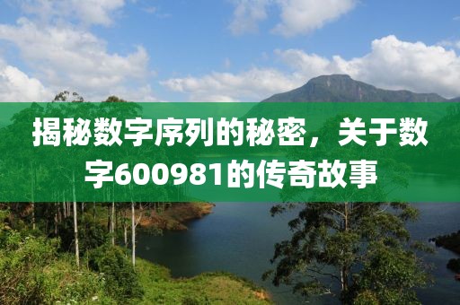 揭秘数字序列的秘密，关于数字600981的传奇故事