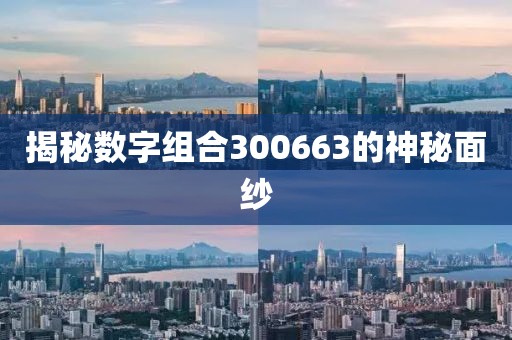 揭秘數(shù)字組合300663的神秘面紗