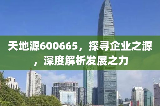 天地源600665，探寻企业之源，深度解析发展之力