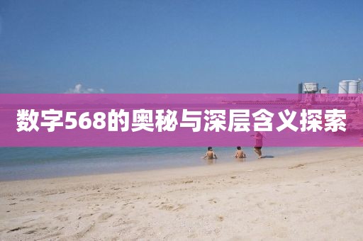 數字568的奧秘與深層含義探索