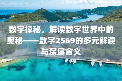 數字探秘，解讀數字世界中的奧秘——數字2569的多元解讀與深層含義