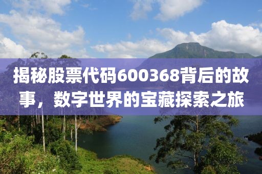 揭秘股票代码600368背后的故事，数字世界的宝藏探索之旅