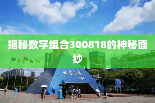 揭秘数字组合300818的神秘面纱