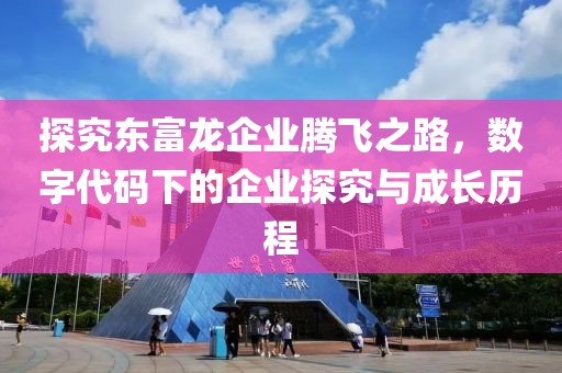 探究东富龙企业腾飞之路，数字代码下的企业探究与成长历程