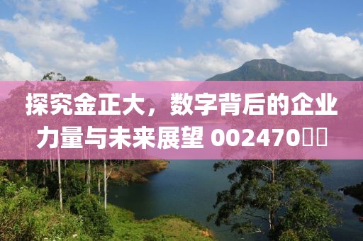 探究金正大，數字背后的企業力量與未來展望 002470??