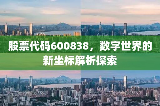 股票代碼600838，數(shù)字世界的新坐標(biāo)解析探索