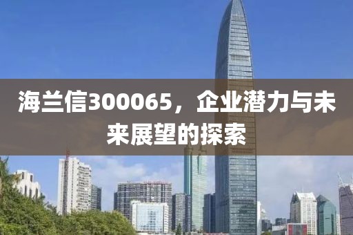 海蘭信300065，企業(yè)潛力與未來展望的探索