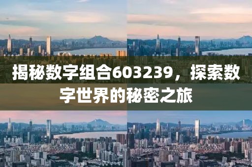 揭秘?cái)?shù)字組合603239，探索數(shù)字世界的秘密之旅