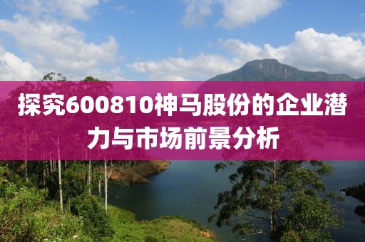 探究600810神馬股份的企業(yè)潛力與市場前景分析