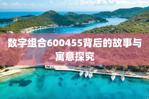 數(shù)字組合600455背后的故事與寓意探究