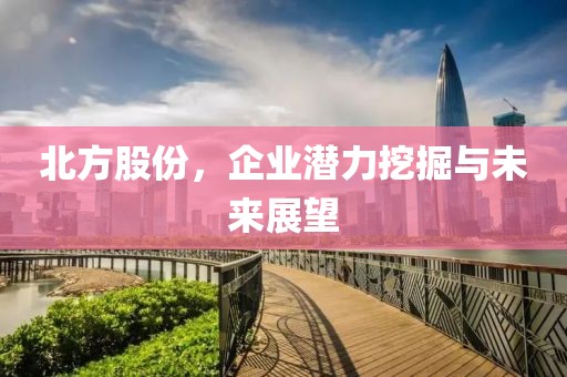 北方股份，企業(yè)潛力挖掘與未來展望