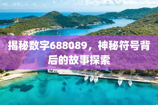 揭秘數(shù)字688089，神秘符號背后的故事探索