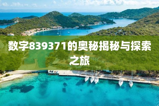 數(shù)字839371的奧秘揭秘與探索之旅