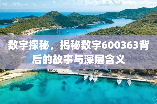 數(shù)字探秘，揭秘數(shù)字600363背后的故事與深層含義