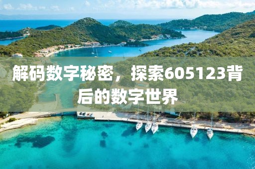 解碼數(shù)字秘密，探索605123背后的數(shù)字世界