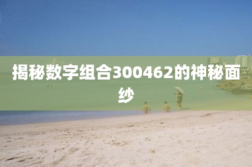 揭秘數(shù)字組合300462的神秘面紗