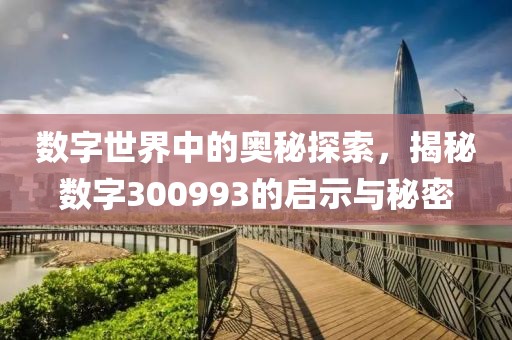 數字世界中的奧秘探索，揭秘數字300993的啟示與秘密