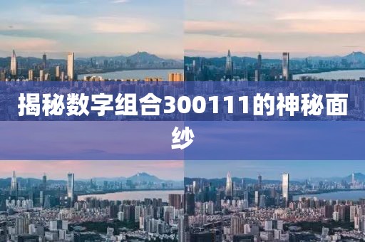 揭秘數(shù)字組合300111的神秘面紗