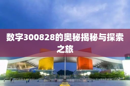 數字300828的奧秘揭秘與探索之旅