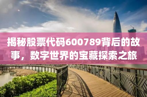 揭秘股票代碼600789背后的故事，數(shù)字世界的寶藏探索之旅